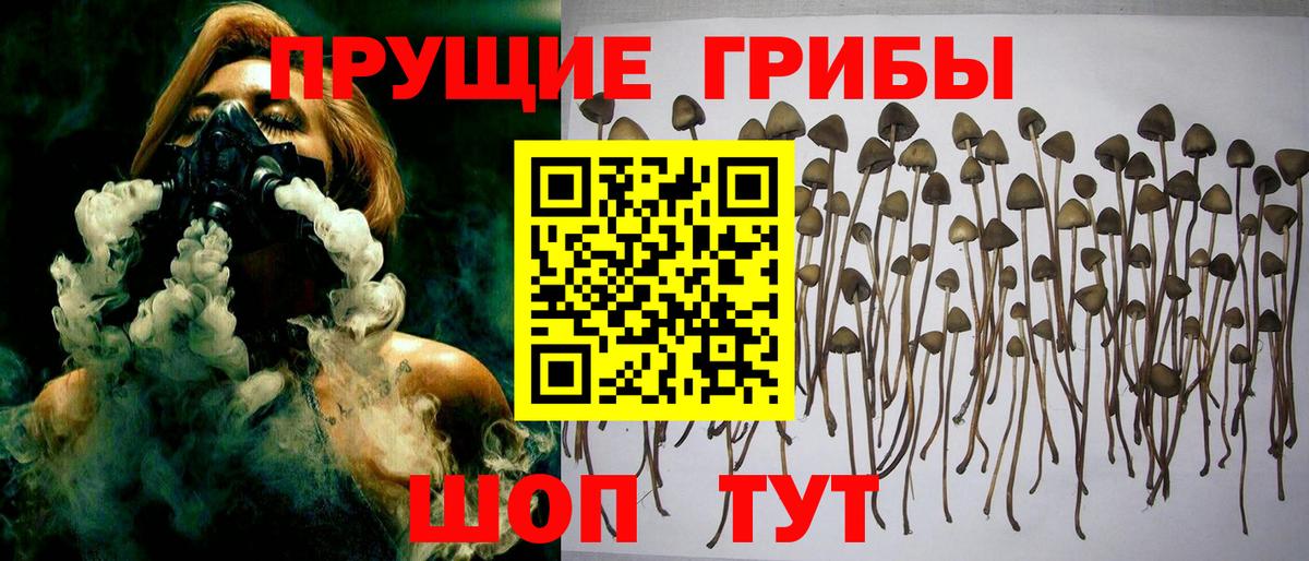 Псилоцибиновые грибы GOLDEN TEACHER  Вход с VPN  Арзамас 